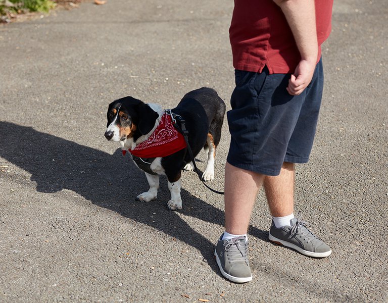 Alex walking the dog