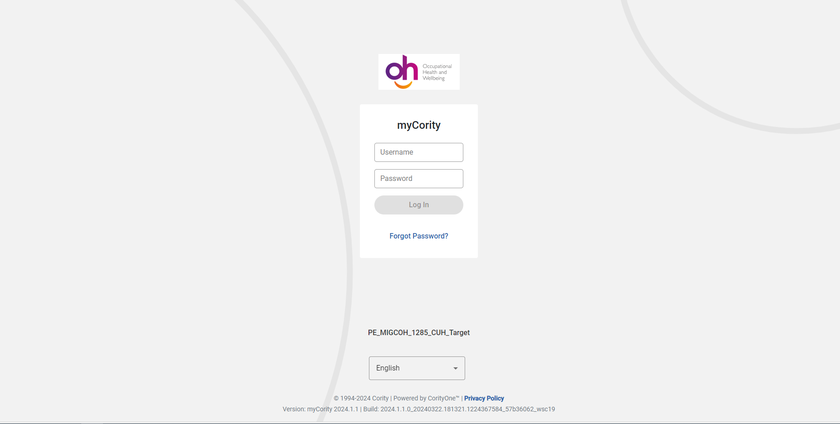 Screenshot of the login page