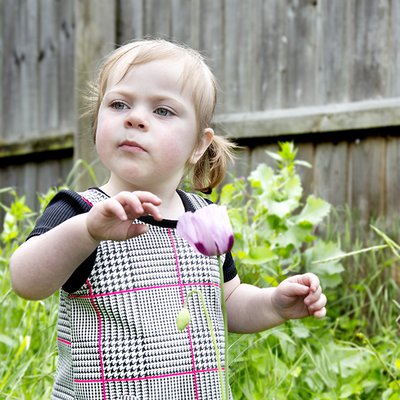 Millie Mae in her garden