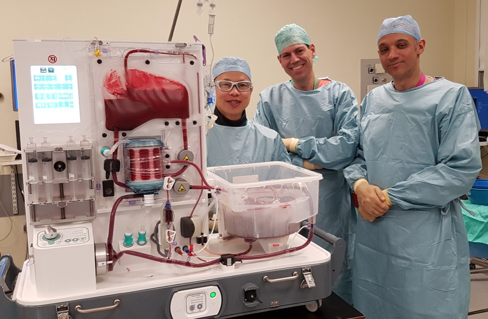 Lab grown used in liver repair breakthrough CUH