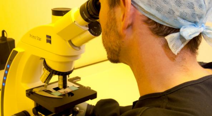 Microscope looking at sperm sample